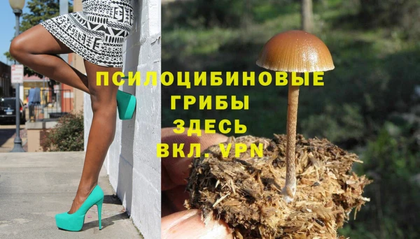 прущая мука Абаза