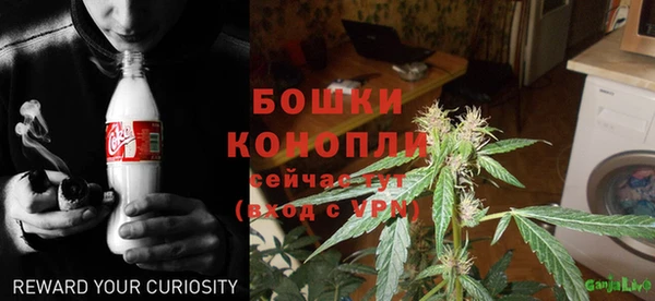 ПСИЛОЦИБИНОВЫЕ ГРИБЫ Алексеевка