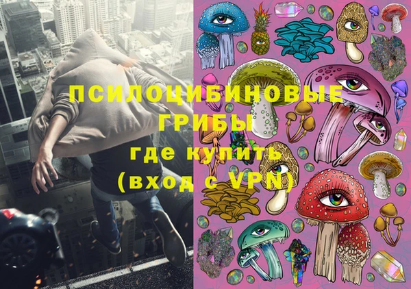 крисы Армянск