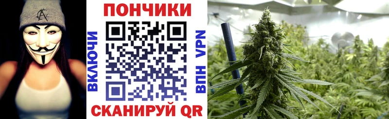 Бошки Шишки семена Северодвинск