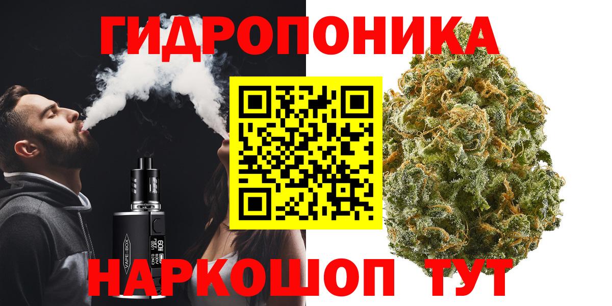 Бошки Шишки планчик Северодвинск